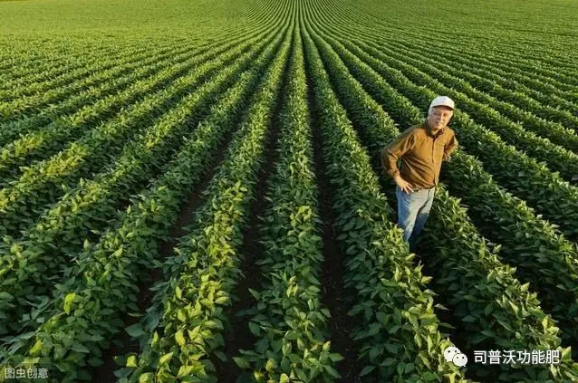 七種不同作物的科學(xué)輪換茬口種植？看了讓你不增產(chǎn)都難！