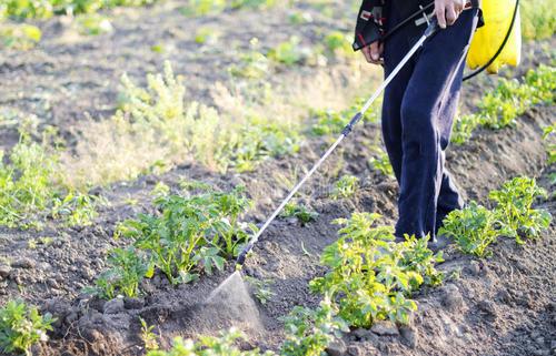 在田蔬菜如何渡過冷冬？不要著急，司普沃帶著抗寒防凍措施來了