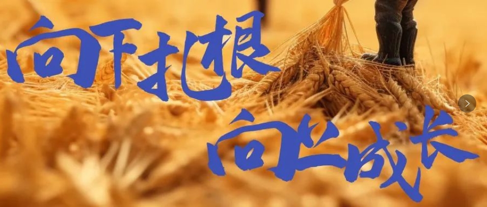 向下扎根，向上成長，司普沃6月市場服務(wù)一線效果反饋
